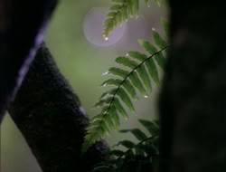 4x08-Crusader_000628