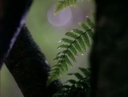 4x08-Crusader_000629
