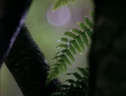 4x08-Crusader_000630
