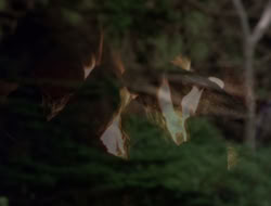 4x08-Crusader_000745