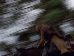 4x08-Crusader_001099