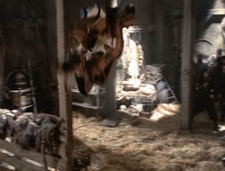 4x08-Crusader_001125