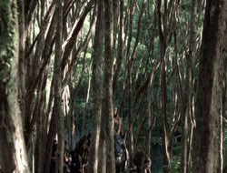 4x08-Crusader_001602