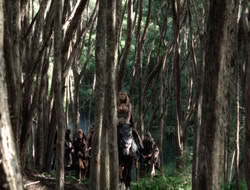 4x08-Crusader_001603