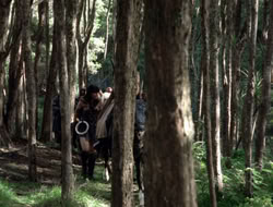 4x08-Crusader_001612
