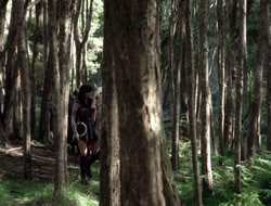 4x08-Crusader_001613