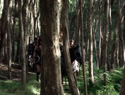 4x08-Crusader_001614