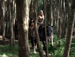 4x08-Crusader_001615
