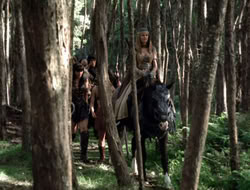 4x08-Crusader_001616