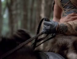 4x08-Crusader_001662