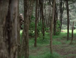 4x08-Crusader_001714