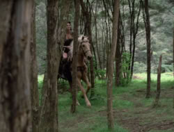4x08-Crusader_001715