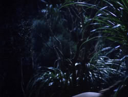 4x08-Crusader_002215