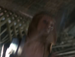 4x08-Crusader_002800