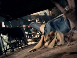 4x08-Crusader_002847