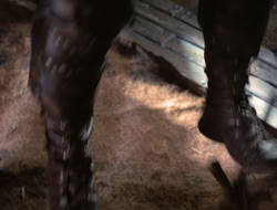 4x08-Crusader_002882