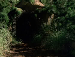 4x08-Crusader_003290
