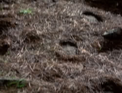 4x08-Crusader_003379