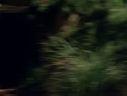 4x08-Crusader_003388