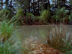4x09-PastImperfect_001160