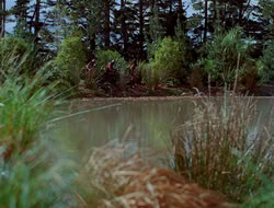 4x09-PastImperfect_001162