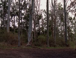 4x09-PastImperfect_001349