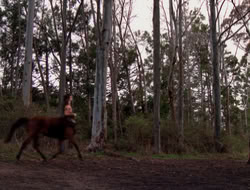 4x09-PastImperfect_001350