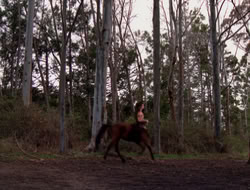 4x09-PastImperfect_001351