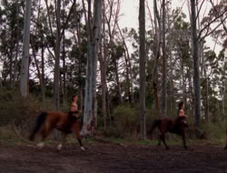 4x09-PastImperfect_001352