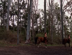 4x09-PastImperfect_001353