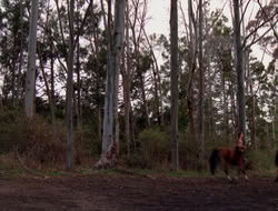 4x09-PastImperfect_001354