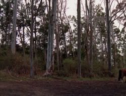 4x09-PastImperfect_001355
