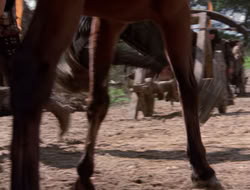 4x09-PastImperfect_001922