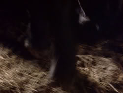 4x09-PastImperfect_001935