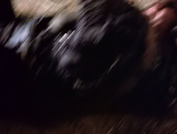 4x09-PastImperfect_001936