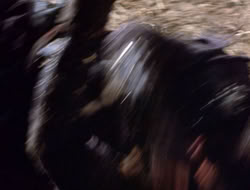 4x09-PastImperfect_001937