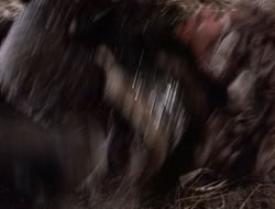 4x09-PastImperfect_001973