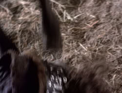 4x09-PastImperfect_001979