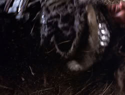 4x09-PastImperfect_001981