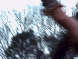 4x09-PastImperfect_002008