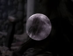 4x09-PastImperfect_002252