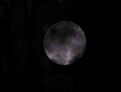 4x09-PastImperfect_002256