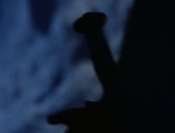 4x09-PastImperfect_002329