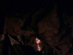 4x09-PastImperfect_002708