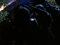 4x09-PastImperfect_002865