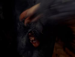 4x09-PastImperfect_002982