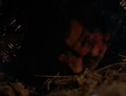 4x09-PastImperfect_003085