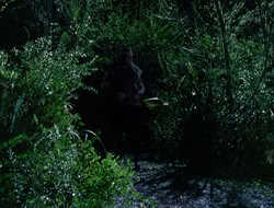 4x09-PastImperfect_003658