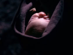 4x09-PastImperfect_003749