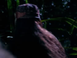 4x09-PastImperfect_003838